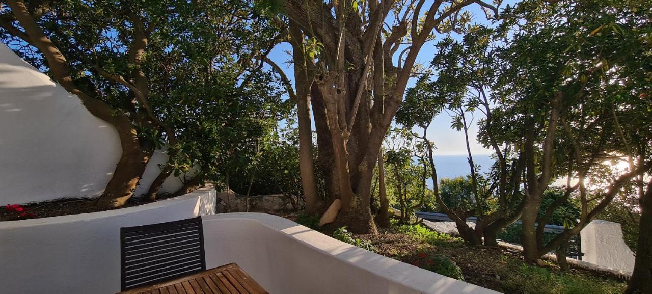 Guest House Villa Il Gabbiano Ponza Exterior photo